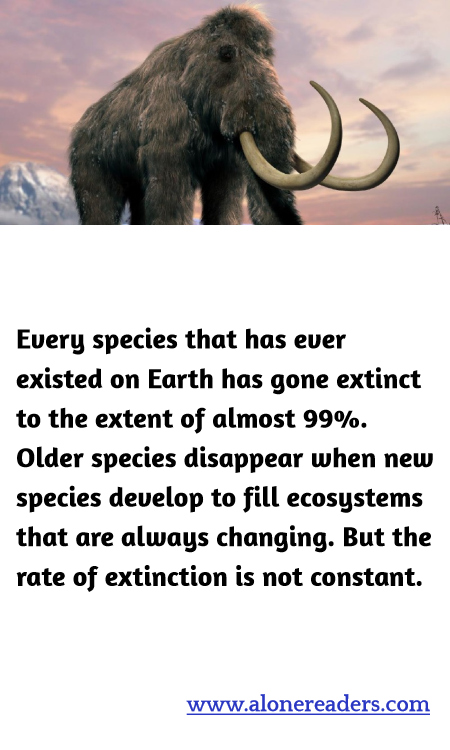 General Knowledge Learning Cards