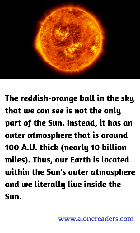 General Knowledge Learning Cards