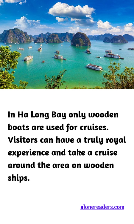 <p><span style="background-color:#ffffff; color:#000000; font-family:Roboto,RobotoDraft,Helvetica,Arial,sans-serif; font-size:13px">In Ha Long Bay only wooden boats are used for cruises. Visitors can have a truly royal experience and take a cruise around the area on wooden ships.</span></p>
