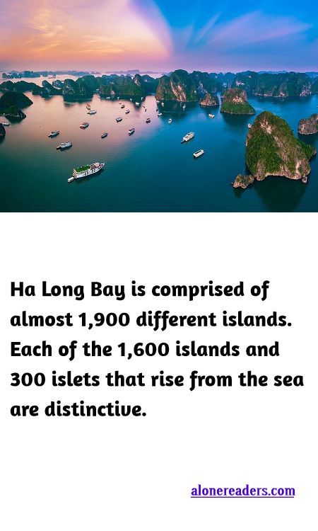 <p><span style="background-color:#ffffff; color:#000000; font-family:Roboto,RobotoDraft,Helvetica,Arial,sans-serif; font-size:13px">Ha Long Bay is comprised of almost 1,900 different islands. Each of the 1,600 islands and 300 islets that rise from the sea are distinctive.</span></p>
