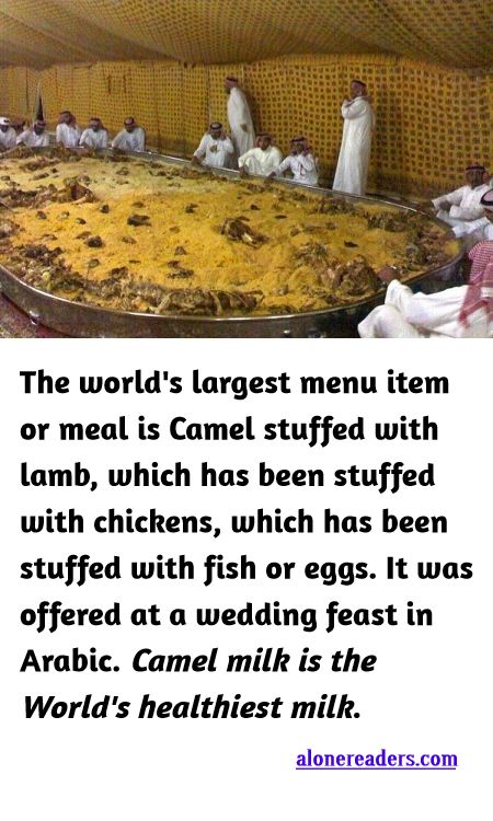 <p><span style="background-color:#ffffff; color:#000000; font-family:docs-Constantia; font-size:15px">The world&#39;s largest menu item or meal is Camel stuffed with lamb, which has been stuffed with chickens, which has been stuffed with fish or eggs It was offered at a wedding feast in Arabic. Camel milk is the World&#39;s healthiest milk.</span></p>
