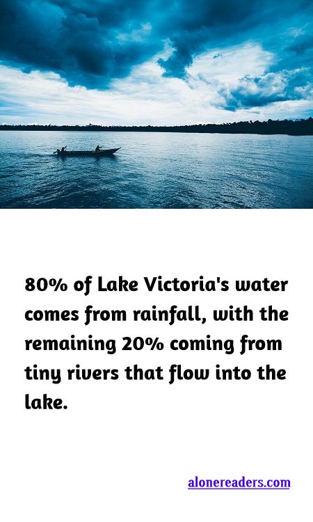 <p><span style="background-color:#ffffff; color:#000000; font-family:Roboto,RobotoDraft,Helvetica,Arial,sans-serif; font-size:13px">80% of Lake Victoria&#39;s water comes from rainfall, with the remaining 20% coming from tiny rivers that flow into the lake.</span></p>
