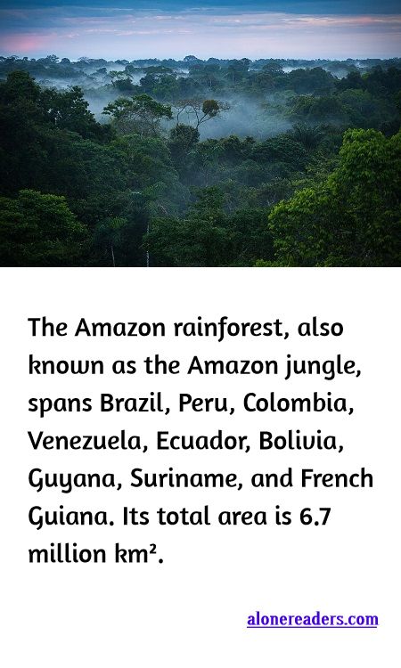 <p><span style="background-color:#ffffff; color:#000000; font-family:Roboto,RobotoDraft,Helvetica,Arial,sans-serif; font-size:13px">The Amazon rainforest, also known as the Amazon jungle, spans Brazil, Peru, Colombia, Venezuela, Ecuador, Bolivia, Guyana, Suriname, and French Guiana. Its total area is 6.7 million km&sup2;.</span></p>
