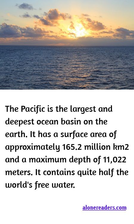 <p><span style="background-color:#ffffff; color:#000000; font-family:Roboto,RobotoDraft,Helvetica,Arial,sans-serif; font-size:13px">The Pacific is the largest and deepest ocean basin on the earth. It has a surface area of approximately 165.2 million km2 and a maximum depth of 11,022 meters. It contains quite half the world&#39;s free water.</span></p>
