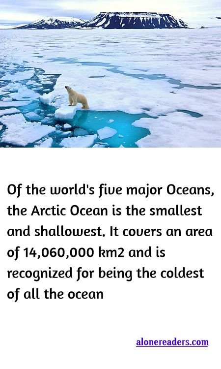<p><span style="background-color:#ffffff; color:#000000; font-family:Roboto,RobotoDraft,Helvetica,Arial,sans-serif; font-size:13px">Of the world&#39;s five major Oceans, the Arctic Ocean is the smallest and shallowest. It covers an area of 14,060,000 km2 and is recognized for being the coldest of all the ocean</span></p>
