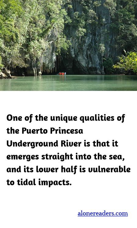 <p><span style="background-color:#ffffff; color:#000000; font-family:Roboto,RobotoDraft,Helvetica,Arial,sans-serif; font-size:13px">One of the unique qualities of the Puerto Princesa Underground River is that it emerges straight into the sea, and its lower half is vulnerable to tidal impacts.</span></p>
