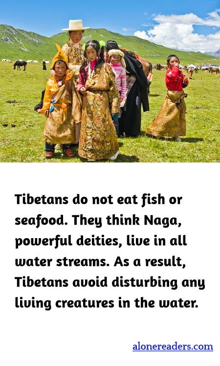 Tibetans do not eat fish or seafood. They think Naga, powerful deities, live in all water streams. As a result, Tibetans avoid disturbing any living creatures in the water.
