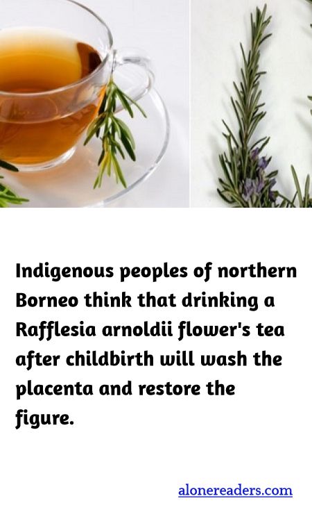 Indigenous peoples of northern Borneo think that drinking a Rafflesia arnoldii flower's tea after childbirth will wash the placenta and restore the figure.