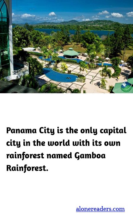 Panama City is the only capital city in the world with its own rainforest named Gamboa Rainforest.