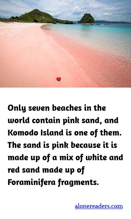 Only seven beaches in the world contain pink sand, and Komodo Island is one of them. The sand is pink because it is made up of a mix of white and red sand made up of Foraminifera fragments.