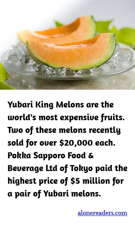 Yubari King Melons are the world's most expensive fruits. Two of these melons recently sold for over $20,000 each. Pokka Sapporo Food & Beverage Ltd of Tokyo paid the highest price of $5 million for a pair of Yubari melons.