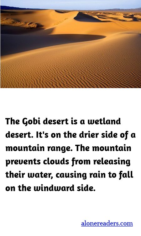 The Gobi desert is a wetland desert. It's on the drier side of a mountain range. The mountain prevents clouds from releasing their water, causing rain to fall on the windward side.