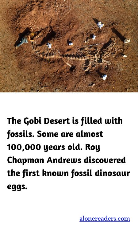The Gobi Desert is filled with fossils. Some are almost 100,000 years old. Roy Chapman Andrews discovered the first known fossil dinosaur eggs.