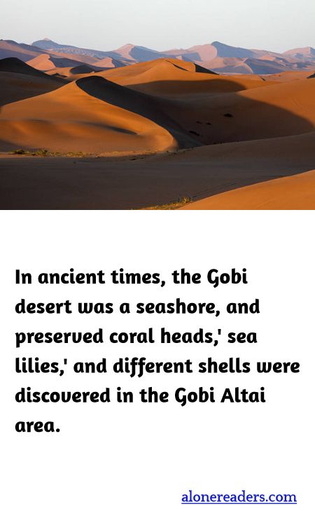 In ancient times, the Gobi desert was a seashore, and preserved coral heads,' sea lilies,' and different shells were discovered in the Gobi Altai area.