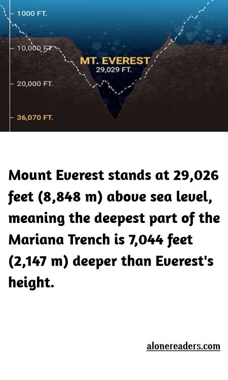 <p>Mount Everest stands at 29,026 feet (8,848 m) above sea level, meaning the deepest part of the Mariana Trench is 7,044 feet (2,147 m) deeper than Everest&#39;s height.</p>
