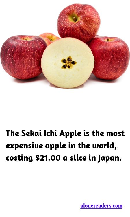 <p><span style="background-color:#ffffff; color:#000000; font-family:docs-Constantia; font-size:15px">The Sekai Ichi Apple is the most expensive apple in the world, costing $21.00 a slice in Japan.</span></p>
