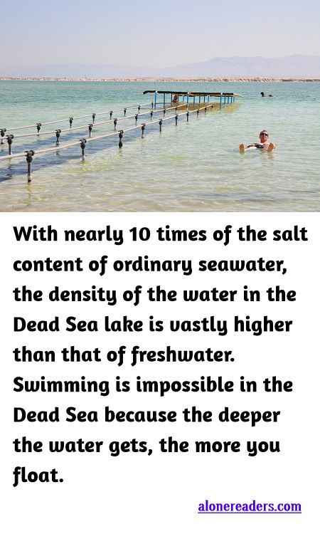 <p><span style="background-color:#ffffff; color:#000000; font-family:docs-Constantia; font-size:15px">With nearly 10 times of the salt content of ordinary seawater, the density of the water in the Dead Sea lake is vastly higher than that of freshwater. Swimming is impossible in the Dead Sea because the deeper the water gets, the more you float.</span></p>

