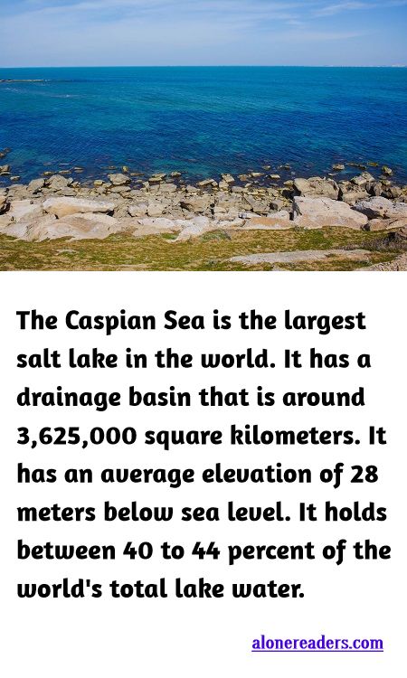 <p><span style="background-color:#ffffff; color:#000000; font-family:docs-Constantia; font-size:15px">The Caspian Sea is the largest salt lake in the world. It has a drainage basin that is around 3,625,000 square kilometers. It has an average elevation of 28 meters below sea level. It holds between 40 to 44 percent of the world&#39;s total lake water.</span></p>
