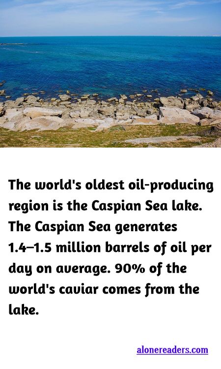 <p><span style="background-color:#ffffff; color:#000000; font-family:docs-Constantia; font-size:15px">The world&#39;s oldest oil-producing region is the Caspian Sea lake. The Caspian Sea generates 1.4&ndash;1.5 million barrels of oil per day on average. 90% of the world&#39;s caviar comes from the lake.</span></p>
