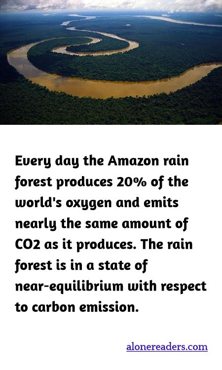Every day the Amazon rain forest produces 20% of the world's oxygen and emits nearly the same amount of CO2 as it produces. The rain forest is in a state of near-equilibrium with respect to carbon emission.
