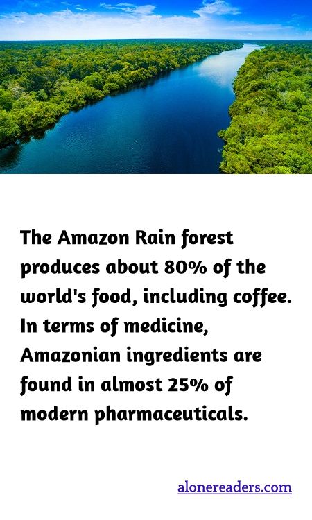 The Amazon Rain forest produces about 80% of the world's food, including coffee. In terms of medicine, Amazonian ingredients are found in almost 25% of modern pharmaceuticals.
