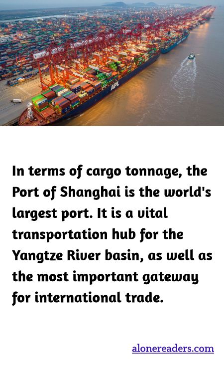 In terms of cargo tonnage, the Port of Shanghai is the world's largest port. It is a vital transportation hub for the Yangtze River basin, as well as the most important gateway for international trade.