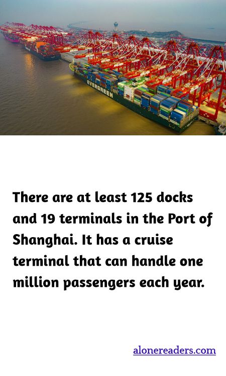 There are at least 125 docks and 19 terminals in the Port of Shanghai. It has a cruise terminal that can handle one million passengers each year.