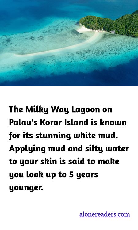 The Milky Way Lagoon on Palau's Koror Island is known for its stunning white mud. Applying mud and silty water to your skin is said to make you look up to 5 years younger.