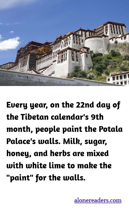 Every year, on the 22nd day of the Tibetan calendar's 9th month, people paint the Potala Palace's walls. Milk, sugar, honey, and herbs are mixed with white lime to make the "paint" for the walls.