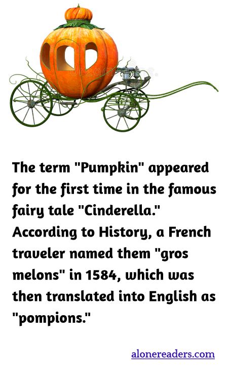 The term "Pumpkin" appeared for the first time in the famous fairy tale "Cinderella." According to History, a French traveler named them "gros melons" in 1584, which was then translated into English as "pompions."