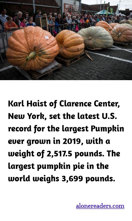 Karl Haist of Clarence Center, New York, set the latest U.S. record for the largest Pumpkin ever grown in 2019, with a weight of 2,517.5 pounds. The largest pumpkin pie in the world weighs 3,699 pounds.
