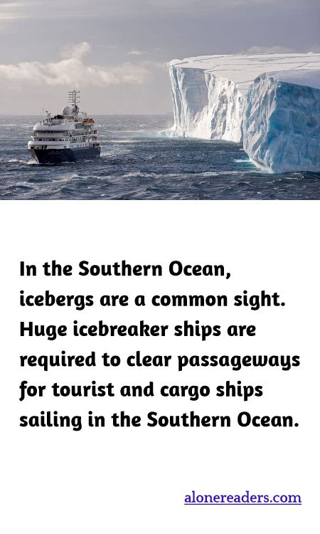 In the Southern Ocean, icebergs are a common sight. Huge icebreaker ships are required to clear passageways for tourist and cargo ships sailing in the Southern Ocean.