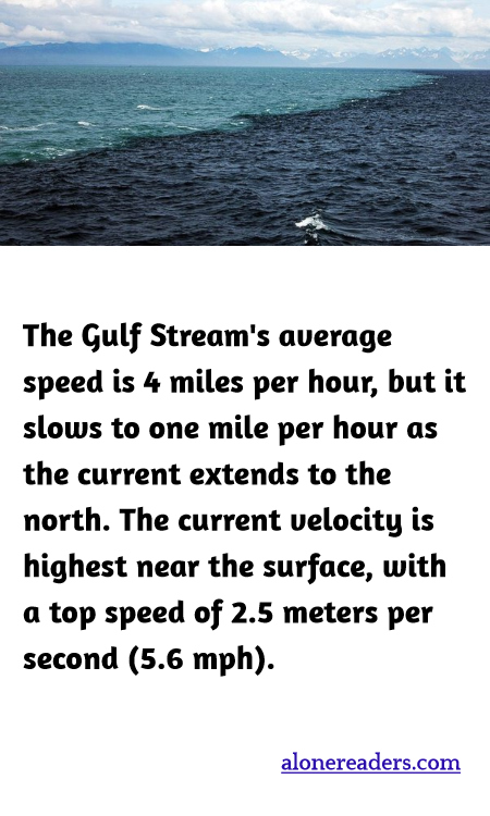 The Gulf Stream's average speed is 4 miles per hour, but it slows to one mile per hour as the current extends to the north. The current velocity is highest near the surface, with a top speed of 2.5 meters per second (5.6 mph).