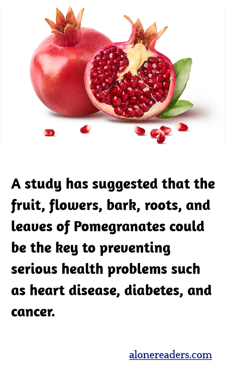 A study has suggested that the fruit, flowers, bark, roots, and leaves of Pomegranates could be the key to preventing serious health problems such as heart disease, diabetes, and cancer.