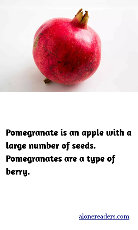 Pomegranate is an apple with a large number of seeds. Pomegranates are a type of berry.