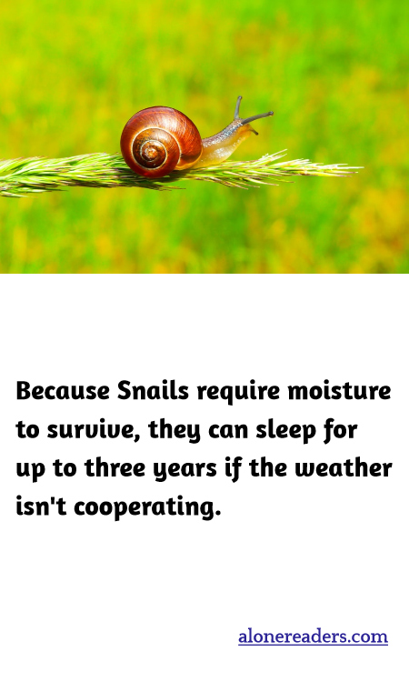 Because Snails require moisture to survive, they can sleep for up to three years if the weather isn't cooperating.