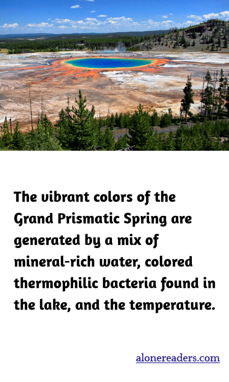 The vibrant colors of the Grand Prismatic Spring are generated by a mix of mineral-rich water, colored thermophilic bacteria found in the lake, and the temperature.