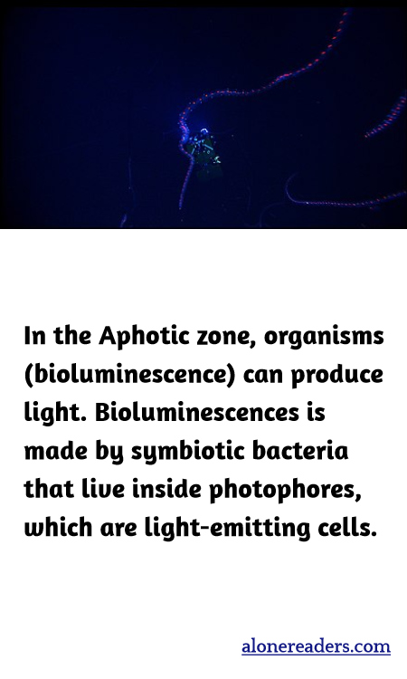 In the Aphotic zone, organisms (bioluminescence) can produce light. Bioluminescences is made by symbiotic bacteria that live inside photophores, which are light-emitting cells.