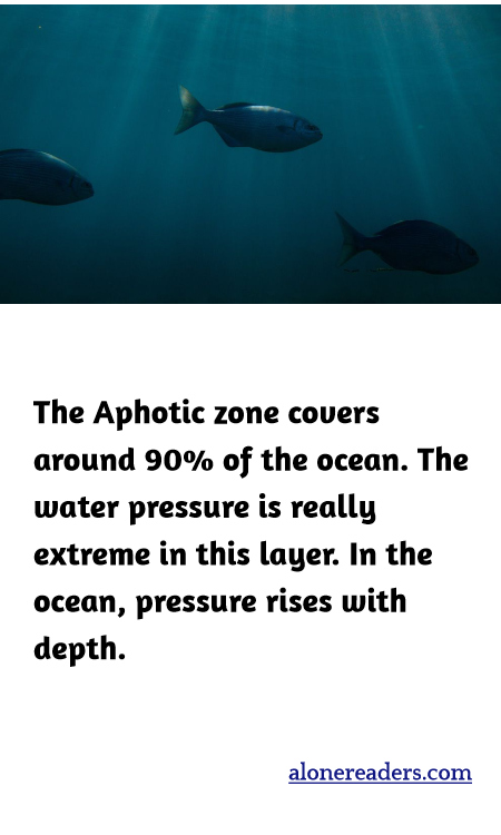 The Aphotic zone covers around 90% of the ocean. The water pressure is really extreme in this layer. In the ocean, pressure rises with depth.