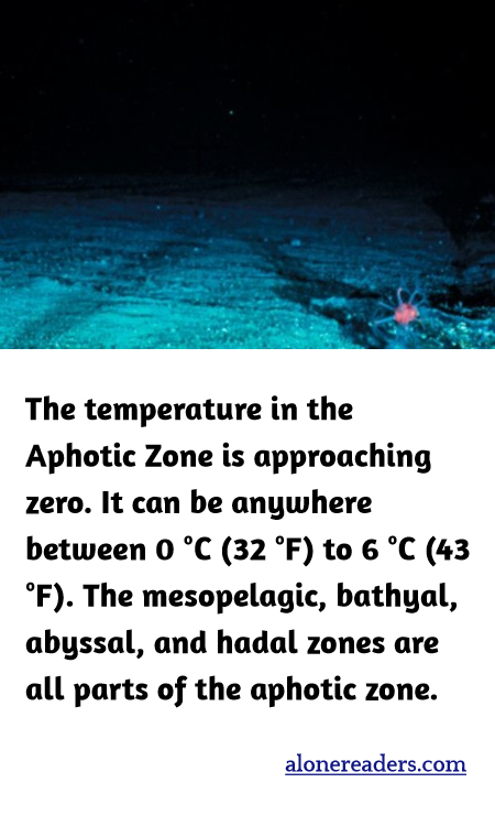 The temperature in the Aphotic Zone is approaching zero. It can be anywhere between 0 °C (32 °F) to 6 °C (43 °F). The mesopelagic, bathyal, abyssal, and hadal zones are all parts of the aphotic zone.