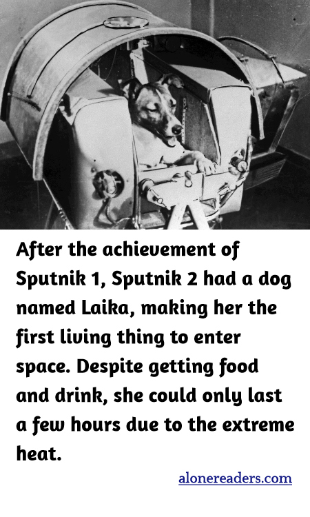 After the achievement of Sputnik 1, Sputnik 2 had a dog named Laika, making her the first living thing to enter space. Despite getting food and drink, she could only last a few hours due to the extreme heat.