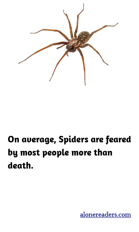 On average, Spiders are feared by most people more than death.