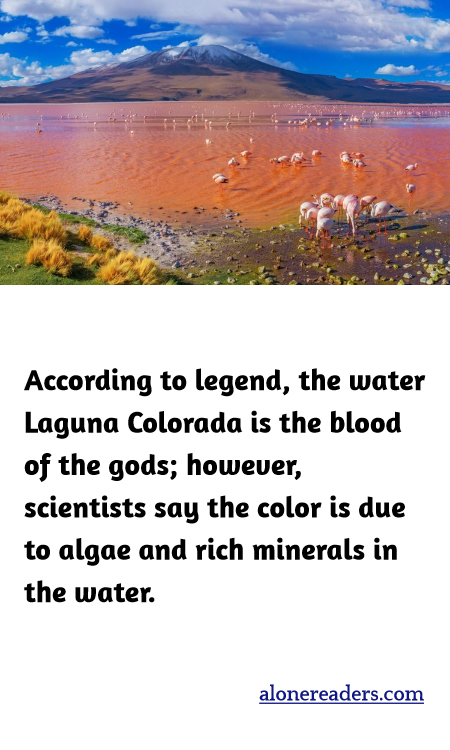 According to legend, the water Laguna Colorada is the blood of the gods; however, scientists say the color is due to algae and rich minerals in the water.