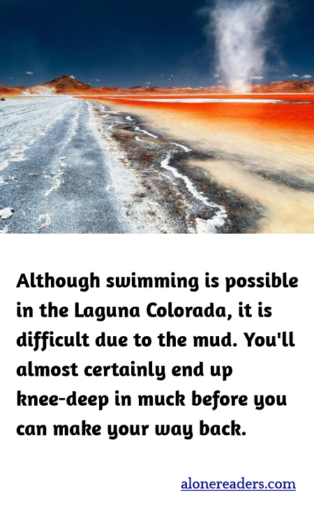 Although swimming is possible in the Laguna Colorada, it is difficult due to the mud. You'll almost certainly end up knee-deep in muck before you can make your way back.