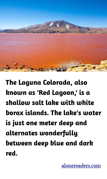 The Laguna Colorada, also known as 'Red Lagoon,' is a shallow salt lake with white borax islands. The lake's water is just one meter deep and alternates wonderfully between deep blue and dark red.