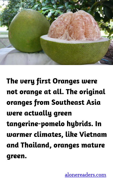 The very first Oranges were not orange at all. The original oranges from Southeast Asia were actually green tangerine-pomelo hybrids. In warmer climates, like Vietnam and Thailand, oranges mature green.