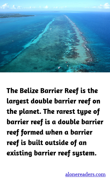 The Belize Barrier Reef is the largest double barrier reef on the planet. The rarest type of barrier reef is a double barrier reef formed when a barrier reef is built outside of an existing barrier reef system.