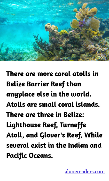 General Knowledge Learning Cards