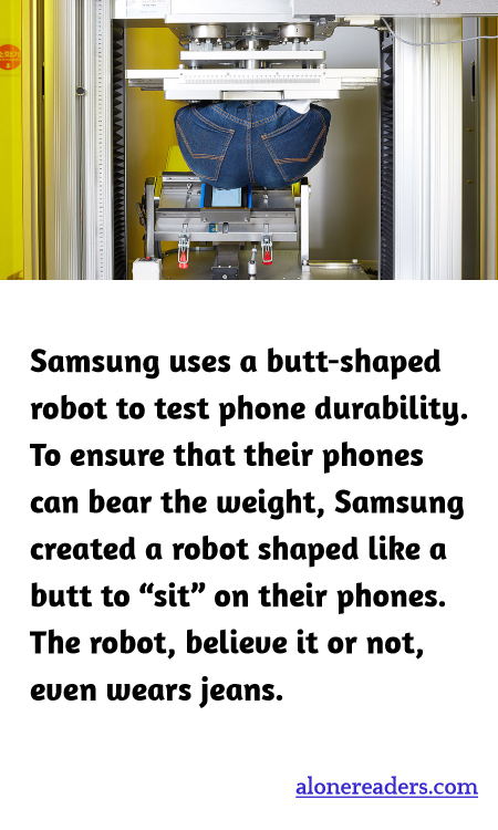 General Knowledge Learning Cards