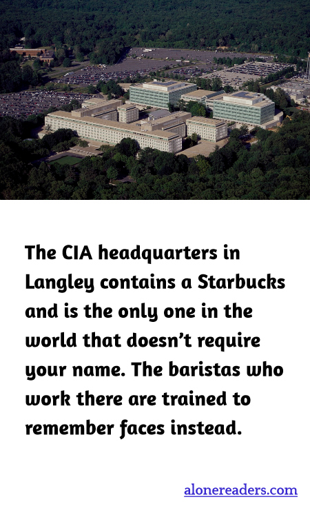 General Knowledge Learning Cards